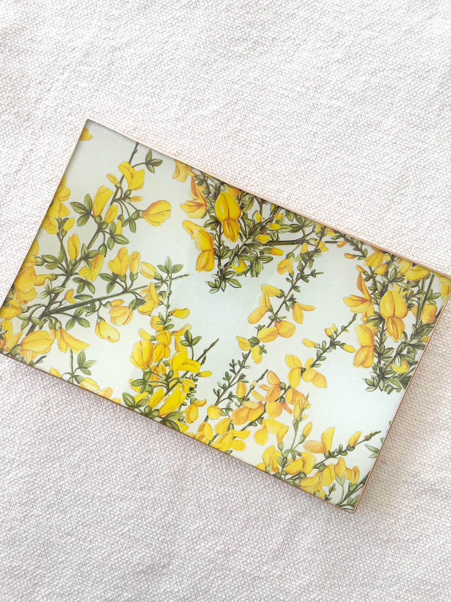 Ginestra Rectangle Plate