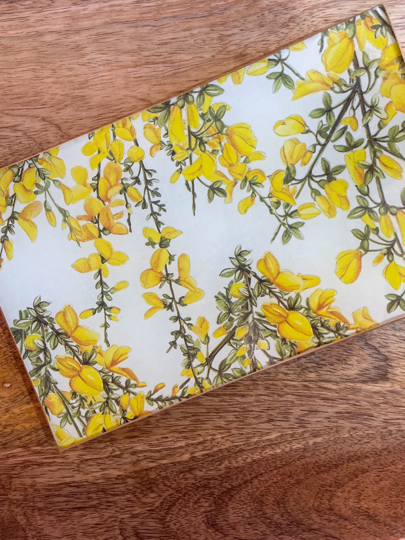 Ginestra Rectangle Plate