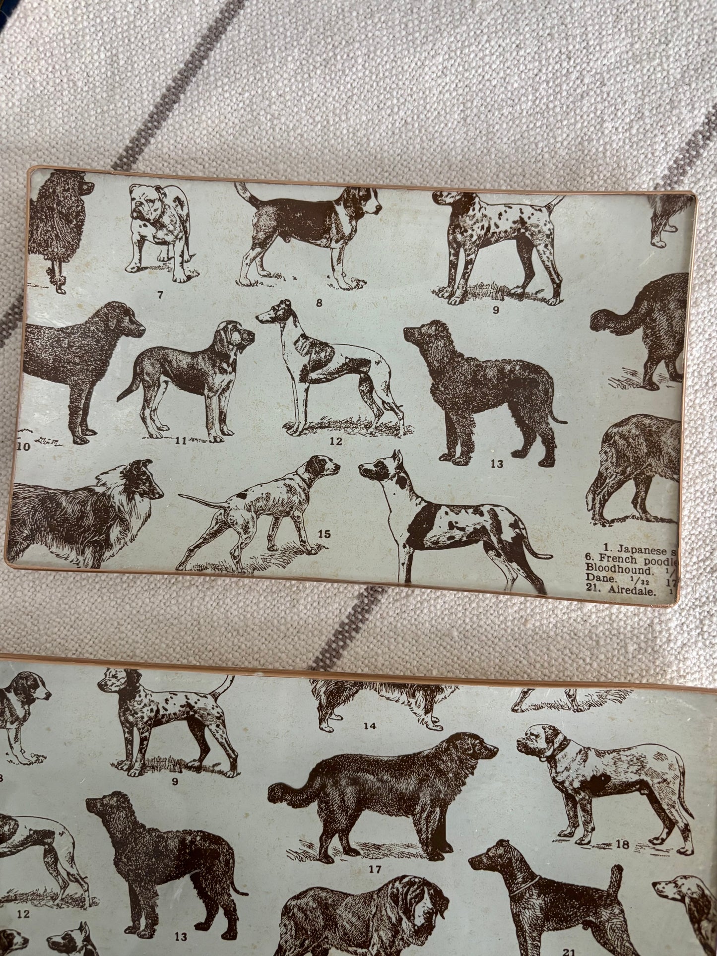 Dogs, Best Friends Rectangle Plate