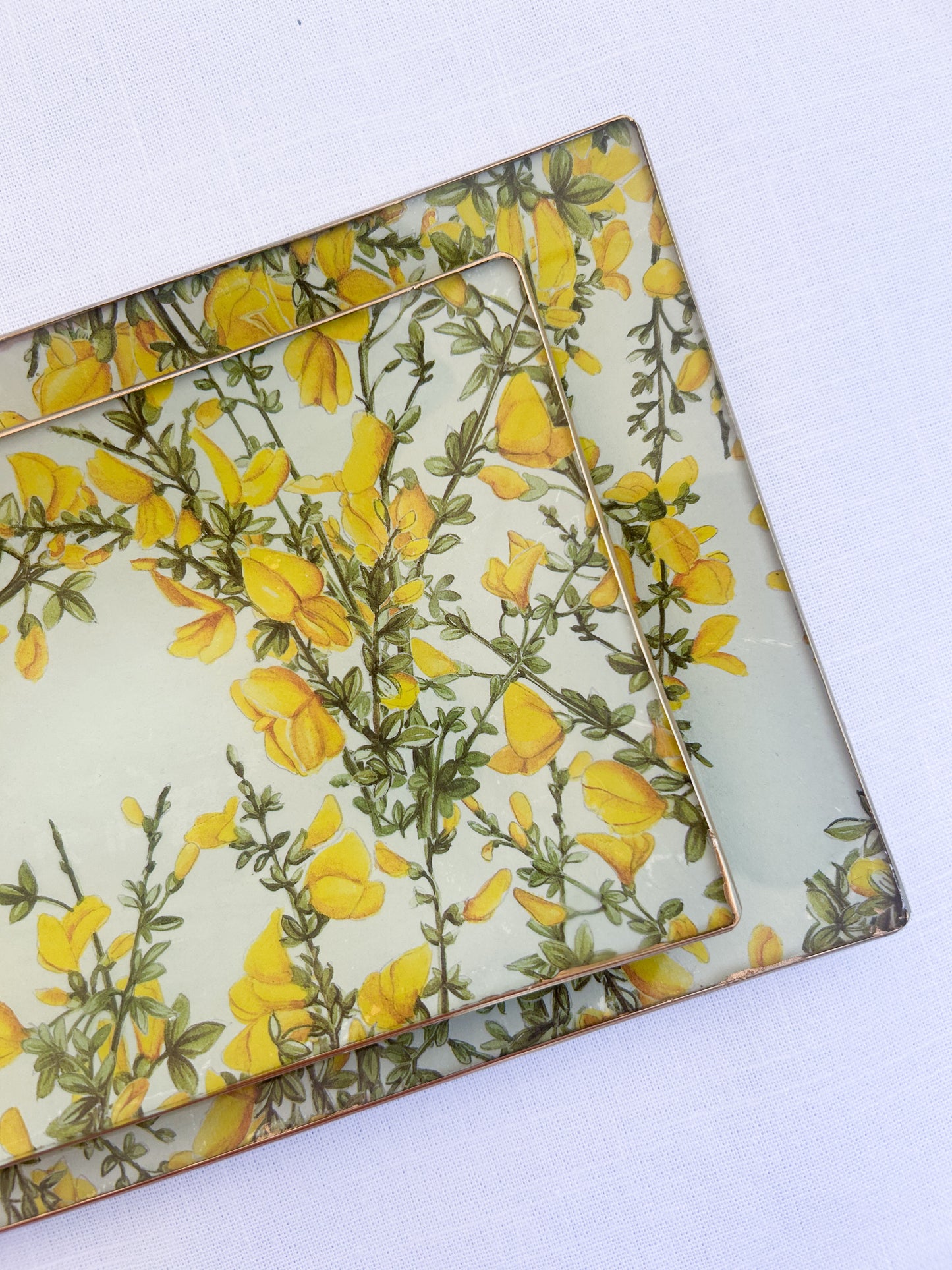 Ginestra Rectangle Plate