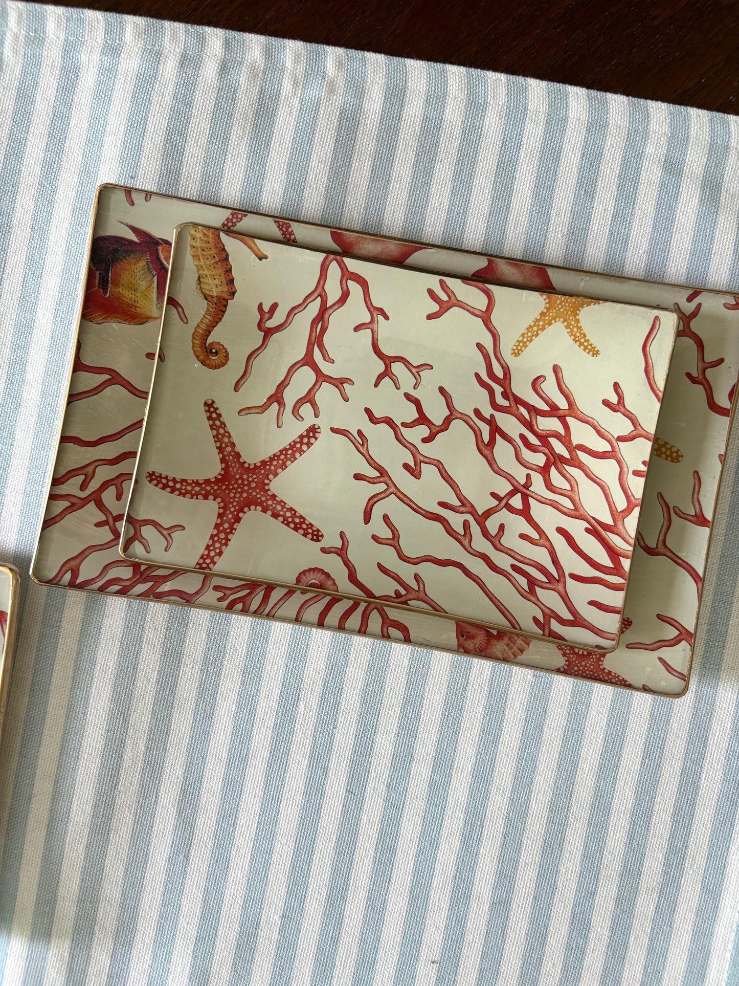 Coral Rectangle Plate