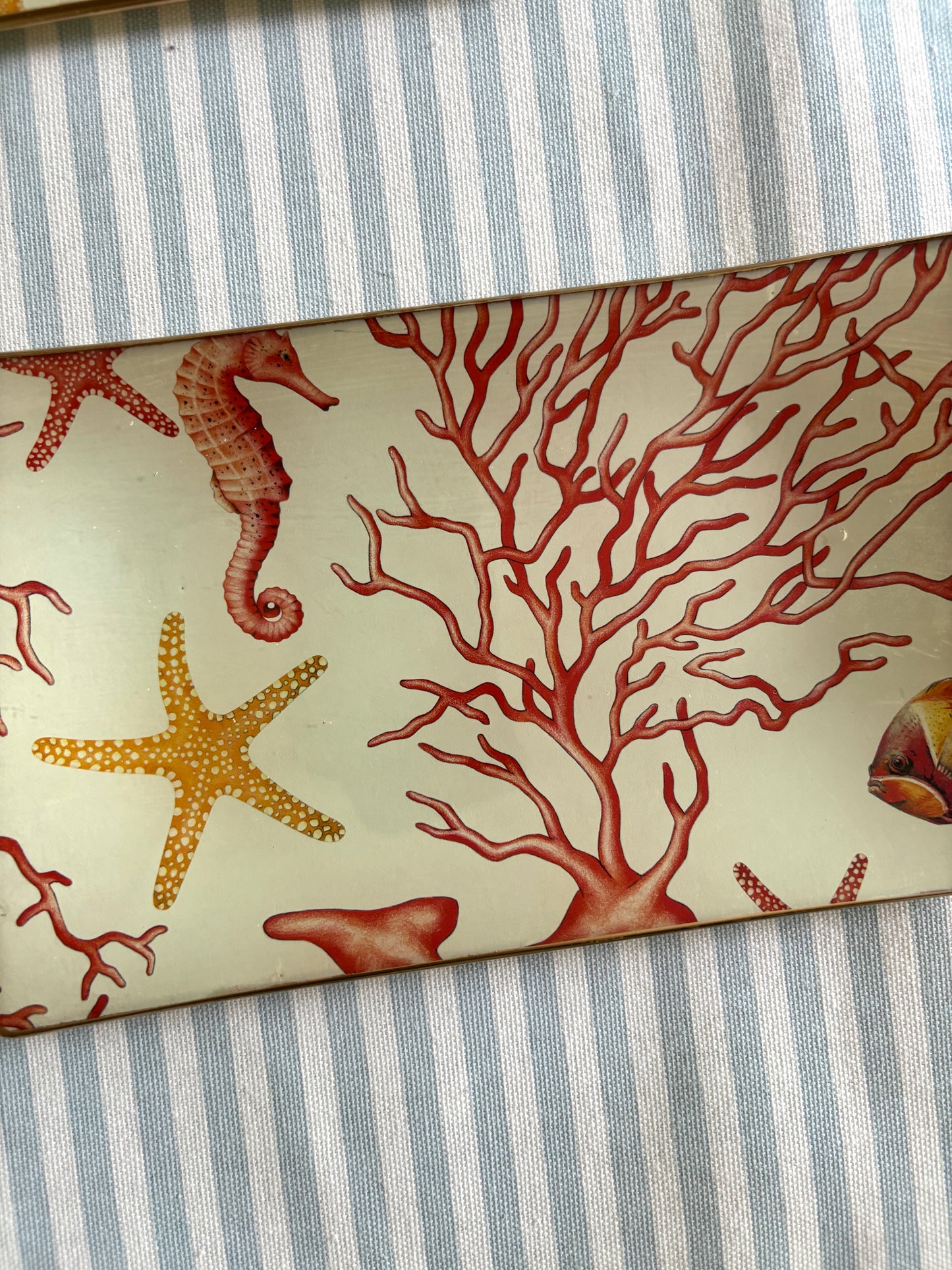 Coral Rectangle Plate