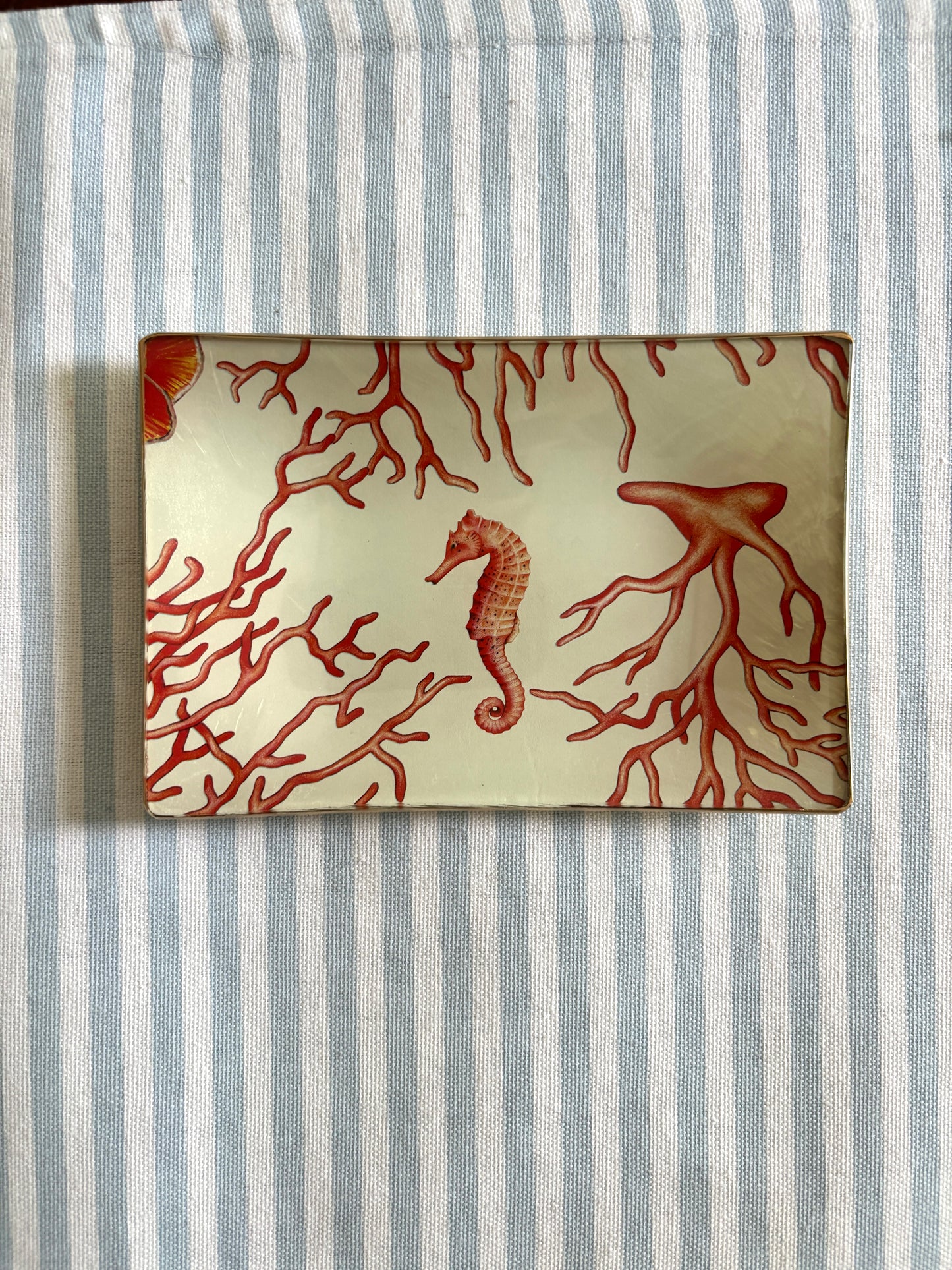 Coral Rectangle Plate