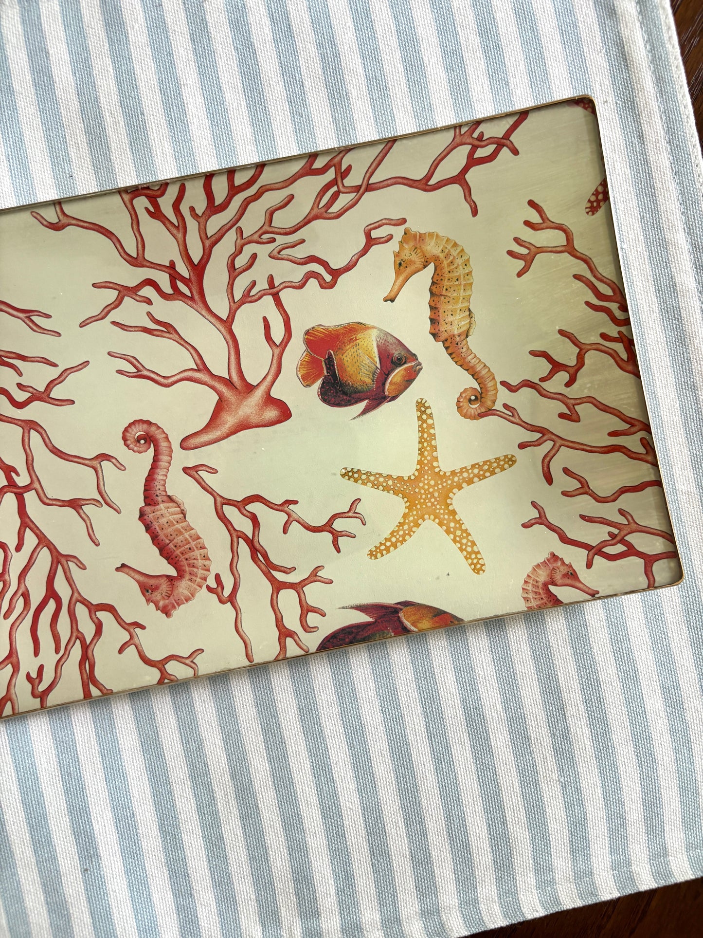 Coral Rectangle Plate