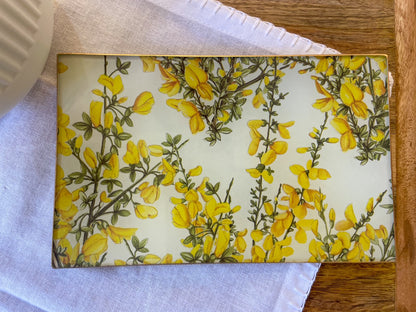 Ginestra Rectangle Plate