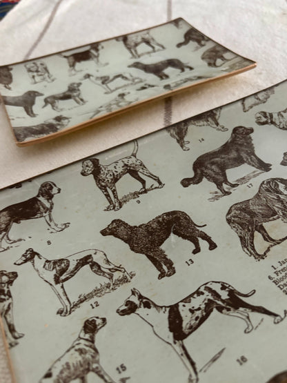 Dogs, Best Friends Rectangle Plate