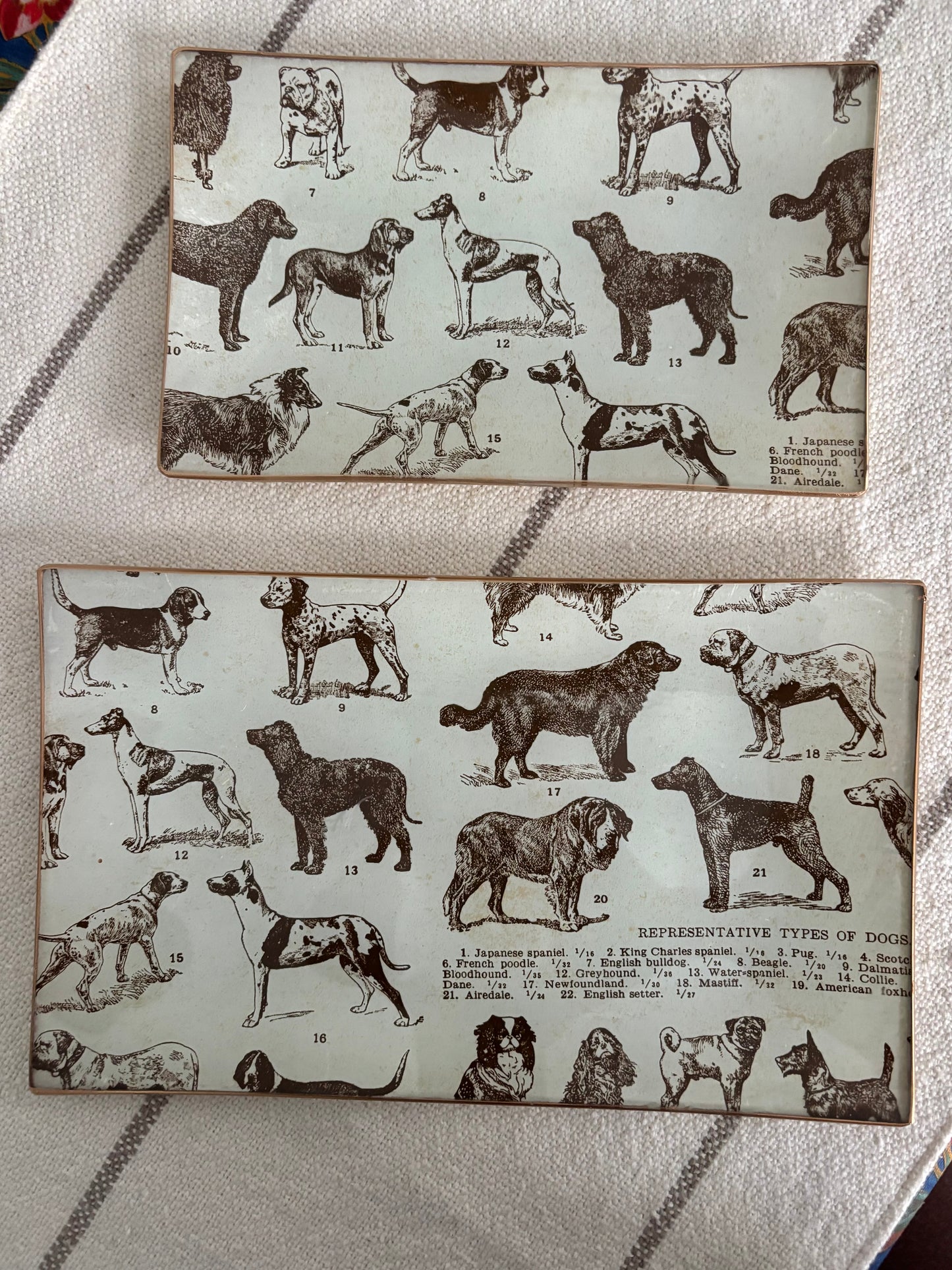 Dogs, Best Friends Rectangle Plate