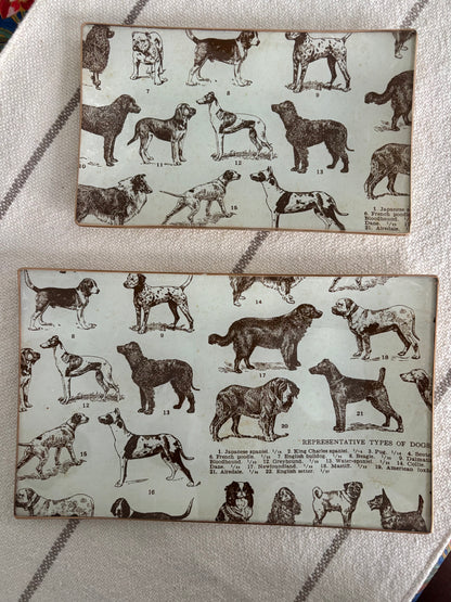 Dogs, Best Friends Rectangle Plate
