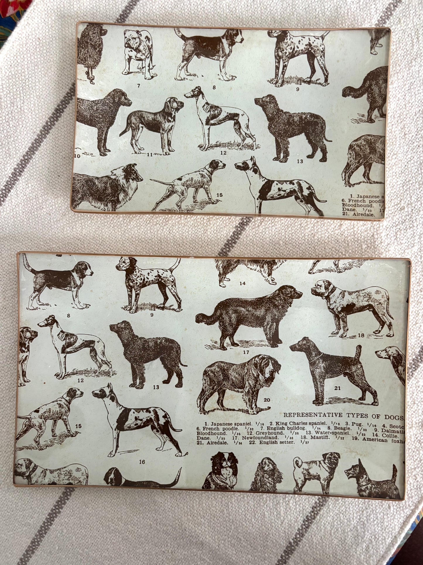 Dogs, Best Friends Rectangle Plate