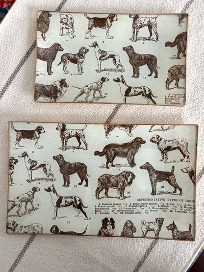 Dogs, Best Friends Rectangle Plate