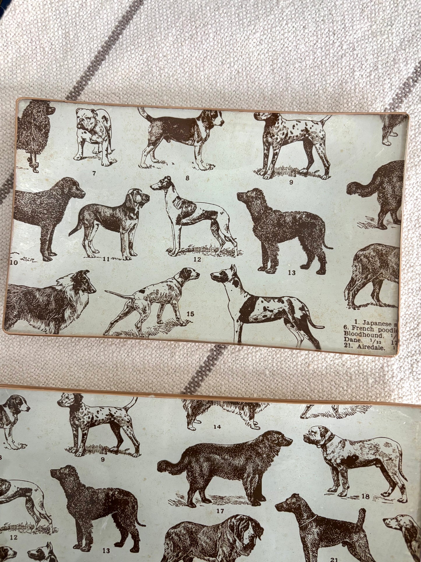 Dogs, Best Friends Rectangle Plate