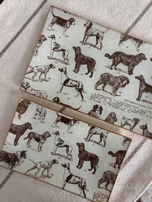 Dogs, Best Friends Rectangle Plate