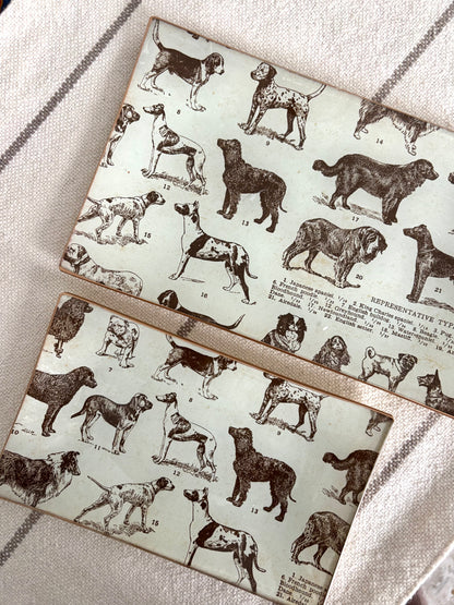 Dogs, Best Friends Rectangle Plate