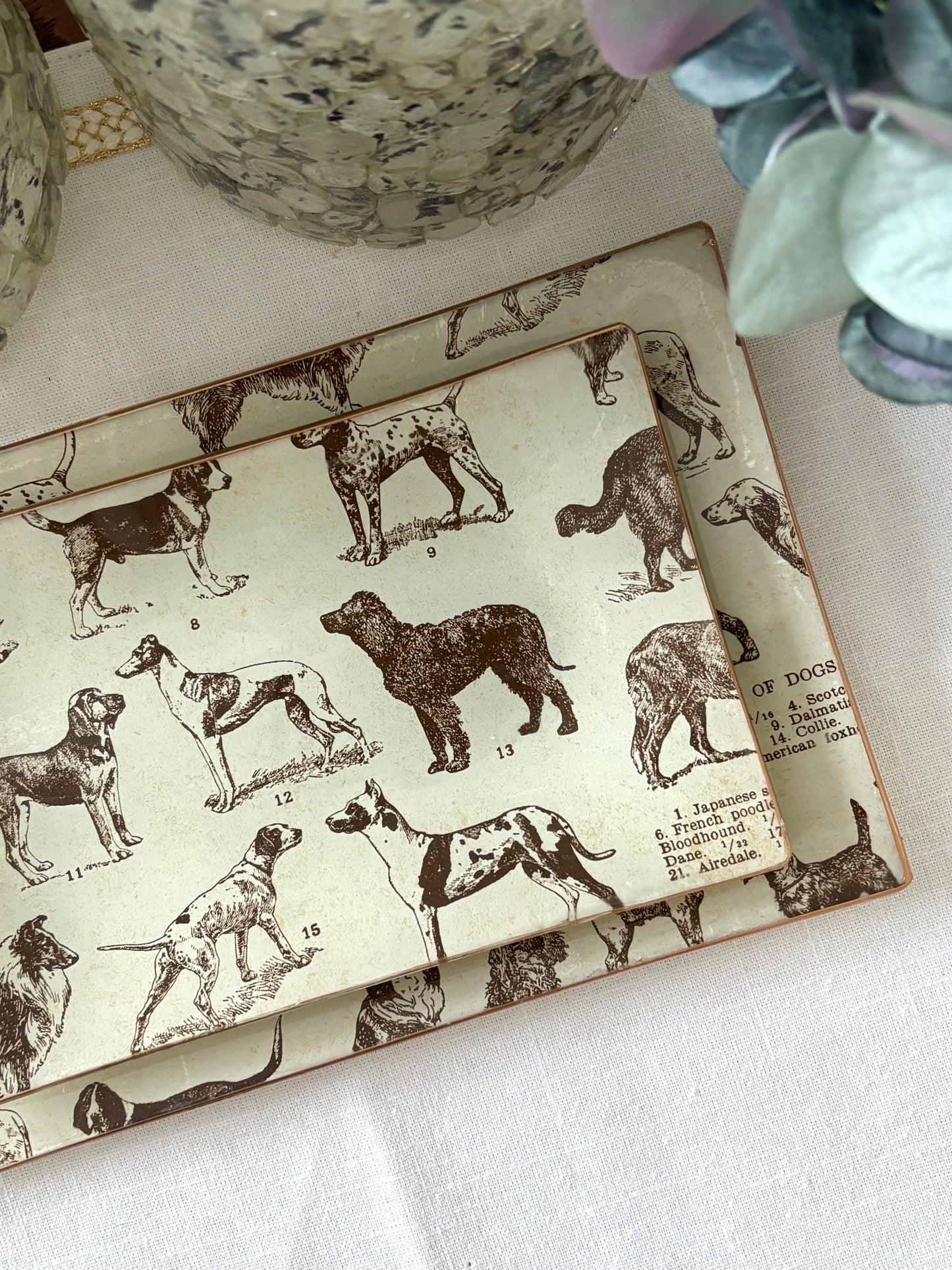 Dogs, Best Friends Rectangle Plate