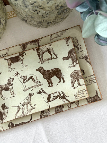 Dogs, Best Friends Rectangle Plate