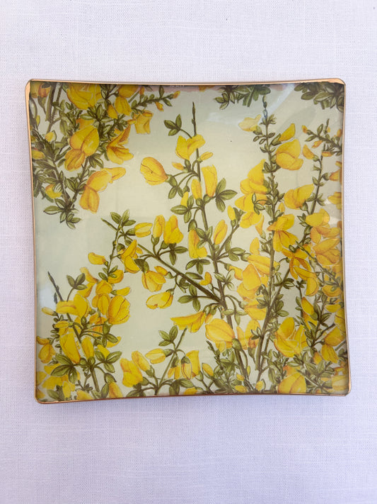 Ginestra Square Plate
