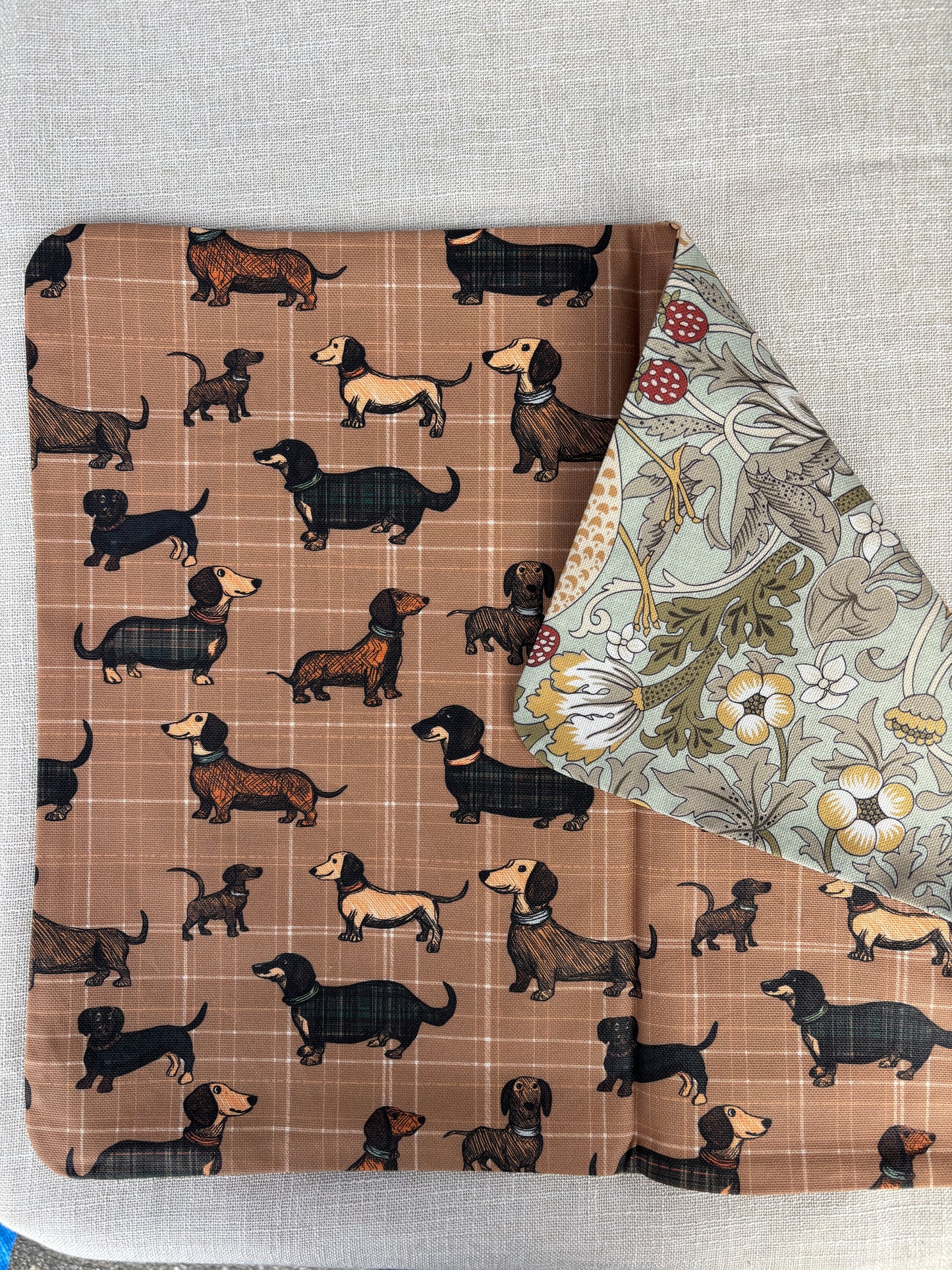 Reversible Resin-Coated Placemat