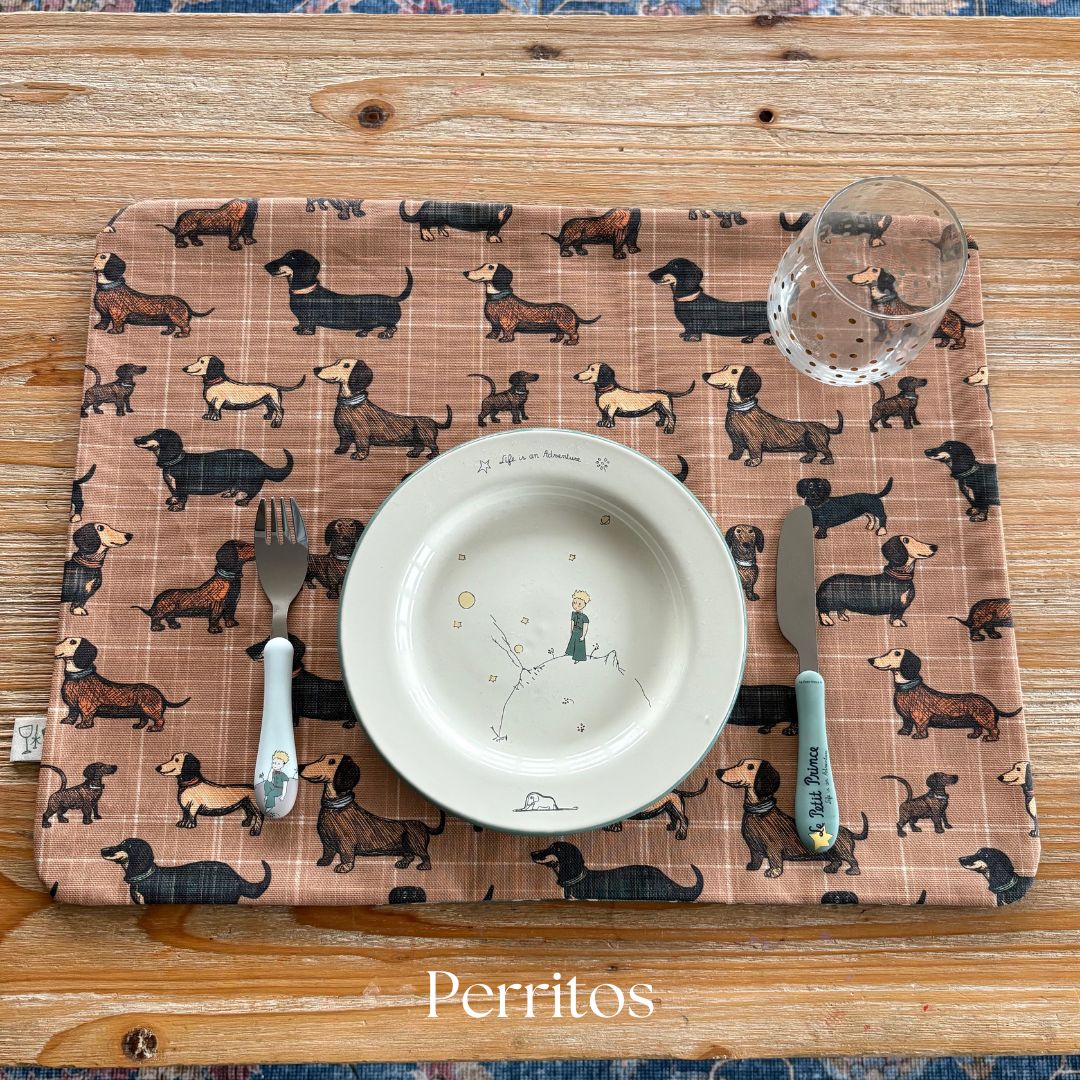 Reversible Resin-Coated Placemat