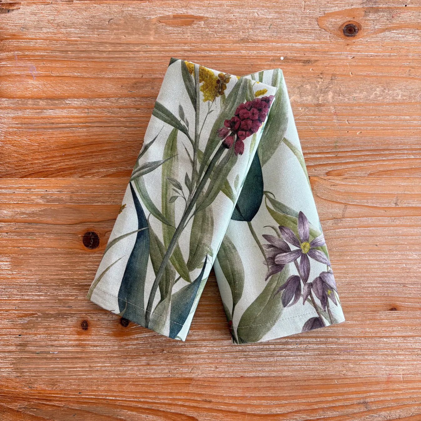 Printed Napkins Setx2